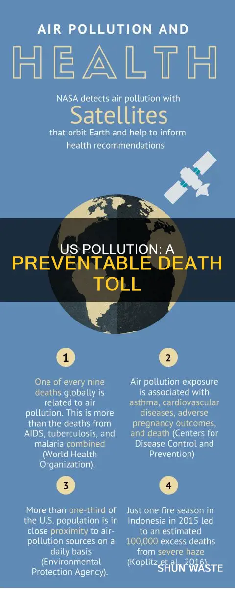 how many people die in the us from pollution