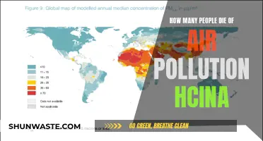 Air Pollution's Deadly Toll in China