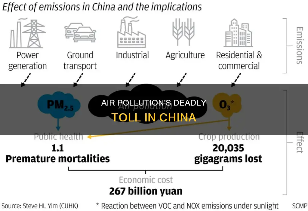 how many people die of air pollution hcina