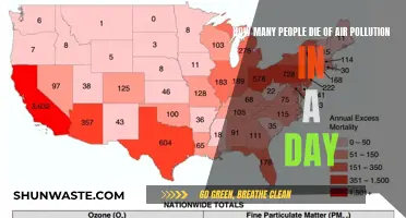 Air Pollution: A Daily Death Toll