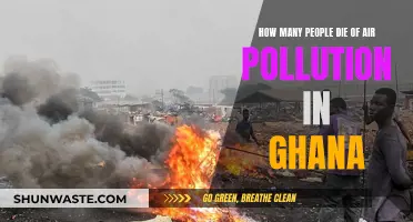 Air Pollution's Deadly Toll in Ghana