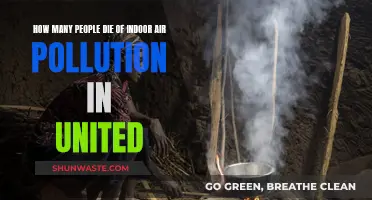 Indoor Air Pollution: A Silent Killer in the United States