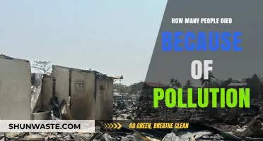 Pollution's Deadly Toll: Counting the Fatalities