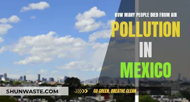 Air Pollution's Deadly Impact on Mexico's Population
