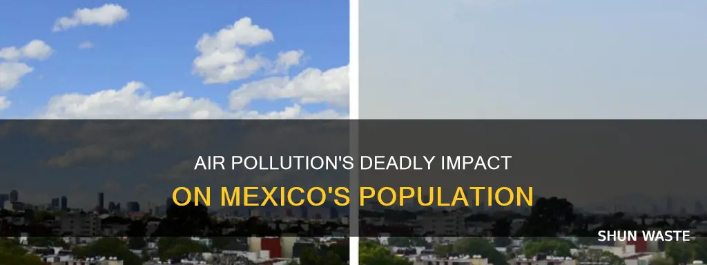 how many people died from air pollution in mexico