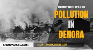 Air Pollution's Deadly Toll in Donora