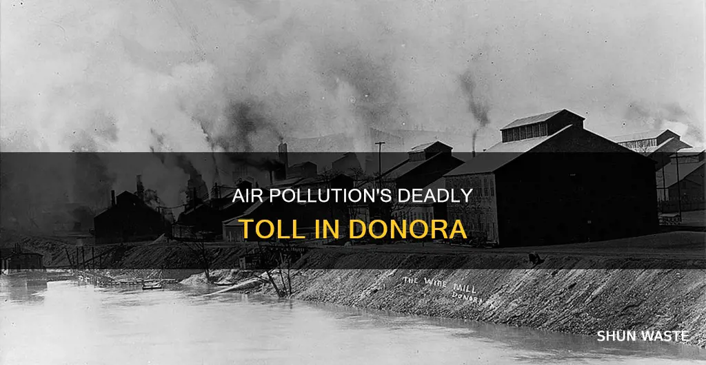 how many people died of air pollution in denora