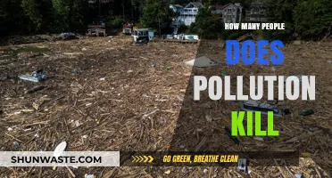Pollution's Deadly Toll: Counting the Casualties