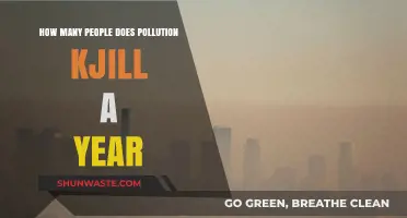 Pollution's Deadly Impact: Annual Death Toll