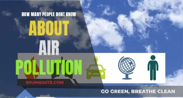 Air Pollution: A Silent Crisis Unaware to Many