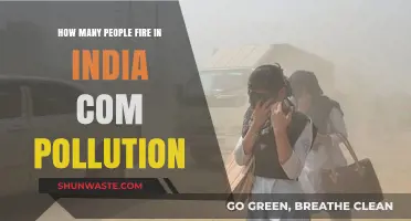 Fire and Pollution: India's Deadly Crisis