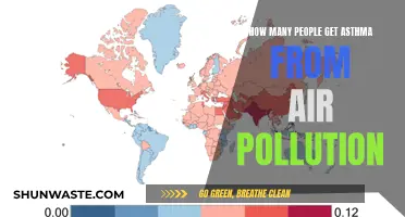 Asthma and Air Pollution: A Dangerous Link