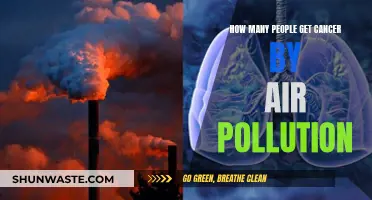 Air Pollution's Cancerous Impact: Understanding the Devastating Toll