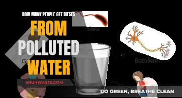 Water Pollution: A Health Crisis for Millions