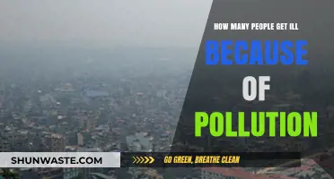 Pollution's Impact: Millions Suffering from Illnesses
