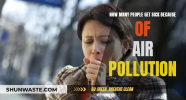 Air Pollution's Sickening Impact: Counting the Victims