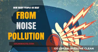 Noise Pollution: Deafness and Its Victims