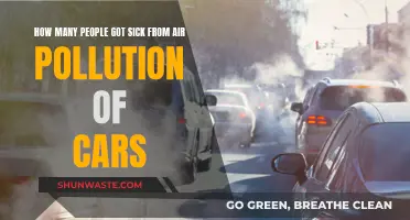 Cars' Air Pollution: Sickening Many, A Health Crisis