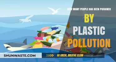 Plastic Pollution: Poisoning Millions