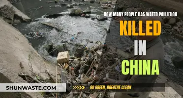 Water Pollution's Deadly Toll: A Chinese Tragedy