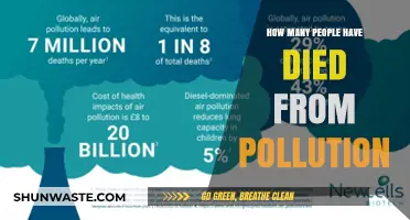 Fatal Pollution: Counting the Victims of Environmental Crimes