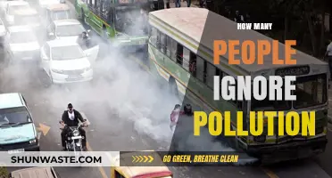 The Pollution Crisis: Ignoring the Inevitable