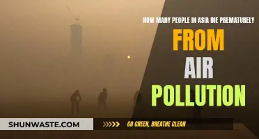 Air Pollution in Asia: A Deadly Premature Killer