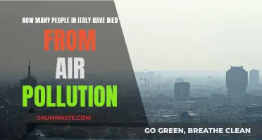 Air Pollution's Deadly Toll in Italy