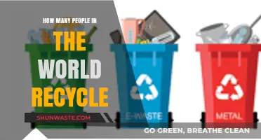 Global Recycling Habits: How Many People Actually Recycle Worldwide?