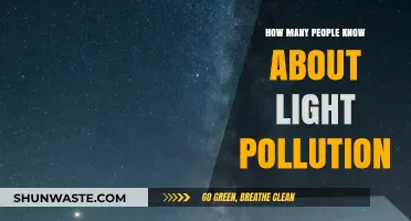 Light Pollution: Awareness and Its Impact