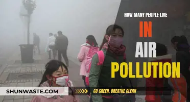 Air Pollution's Human Impact: Counting Victims of Contamination