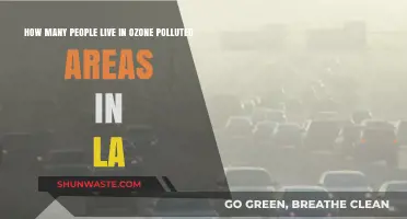 Ozone Pollution in LA: Who's at Risk?
