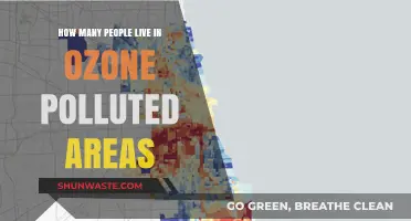 Ozone Pollution: How Many Are at Risk?