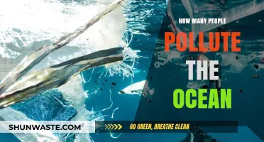 The Ocean's Polluters: Counting the Human Impact