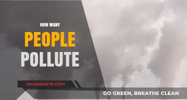 Pollution's Human Impact: Counting the Culprits