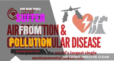 Pollution's Impact: Millions Suffer Globally