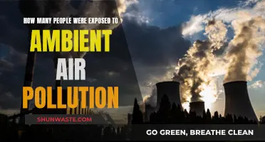 Air Pollution's Reach: How Many Are Affected?
