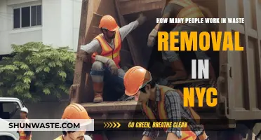 NYC's Waste Removal Workforce: Unveiling the Numbers Behind the Scene