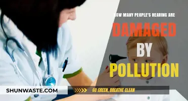 Hearing Loss: Pollution's Silent Victims