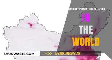 Pollution's Global Reach: Understanding the Devastating Percentage