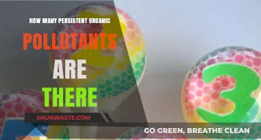 Persistent Organic Pollutants: Understanding Their Lasting Impact