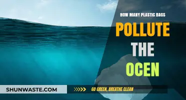 Plastic Bags: Ocean Polluters, What's the Damage?