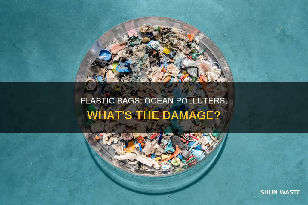 how many plastic bags pollute the ocen