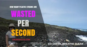 The Shocking Rate of Plastic Straw Waste Every Second