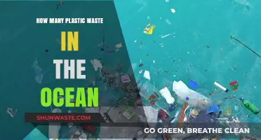 Ocean's Plastic Crisis: Unveiling the Shocking Waste Accumulation
