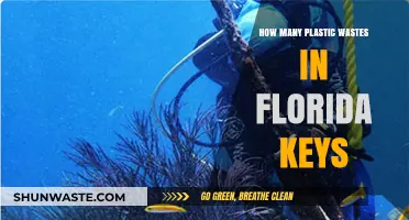 Florida Keys Plastic Waste Crisis: Shocking Amounts Revealed