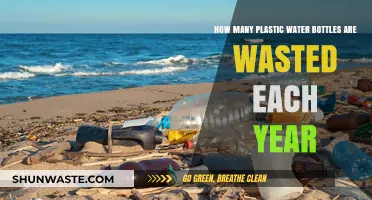 Alarming Annual Plastic Water Bottle Waste: A Global Environmental Crisis