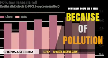 Pollution's Deadly Toll: Counting Annual Fatalities