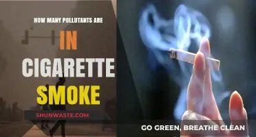 Cigarette Smoke: A Complex Mix of Harmful Pollutants