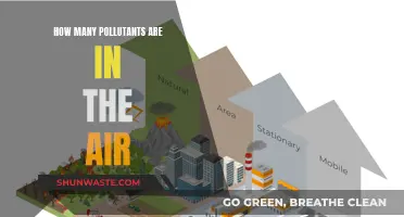 Air Quality Alert: Pollutants in Our Air Supply